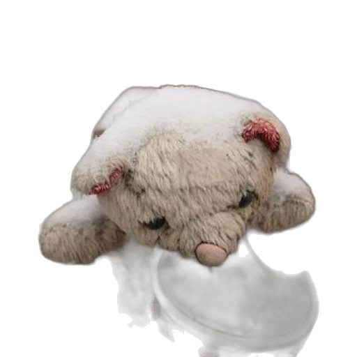 hat, creature, staff, animal transparent PNG cut-out