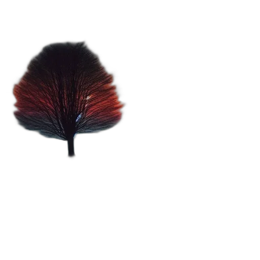 tree, hat, hair, flower transparent PNG cut-out