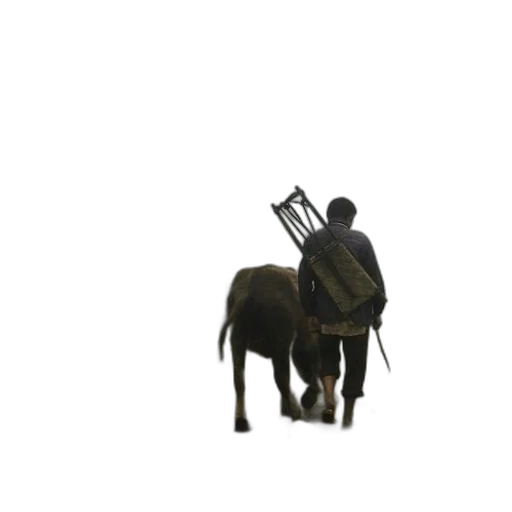 staff, sword, weapon, animal transparent PNG cut-out