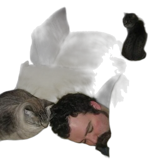 animal, creature, staff, mask transparent PNG cut-out