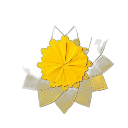 flower, crown, jewelry, umbrella transparent PNG cut-out