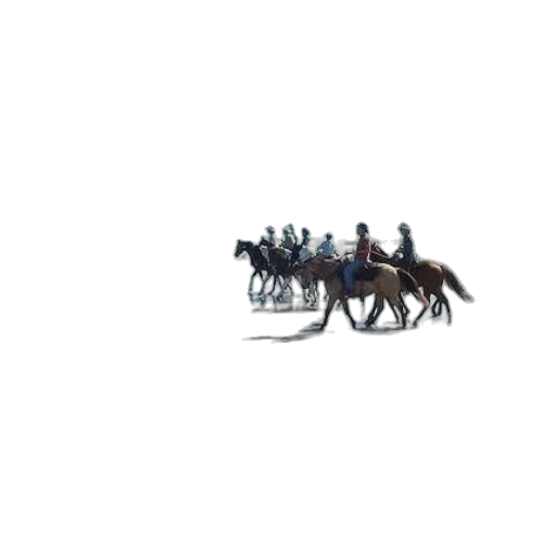 animal, weapon, staff, sword transparent PNG cut-out