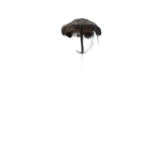 umbrella, hat, hair, crown transparent PNG cut-out