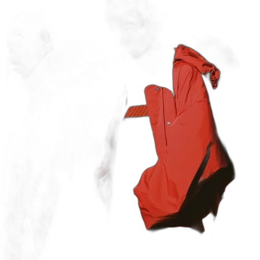 dress, jacket, mask, umbrella transparent PNG cut-out