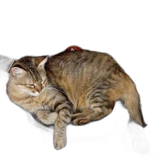 staff, animal, weapon, creature transparent PNG cut-out