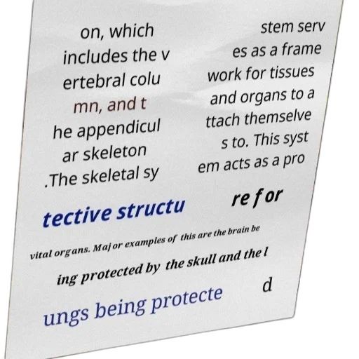 staff, diagram, explaining, skeletal transparent PNG cut-out