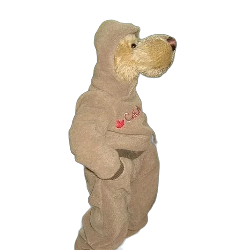 animal, creature, staff, jacket transparent PNG cut-out