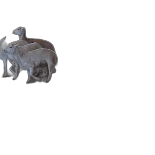 animal, creature, dragon, weapon transparent PNG cut-out