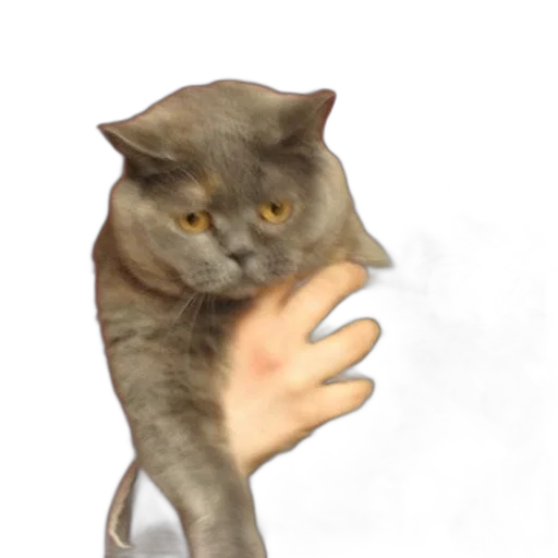 staff, animal, creature, weapon transparent PNG cut-out