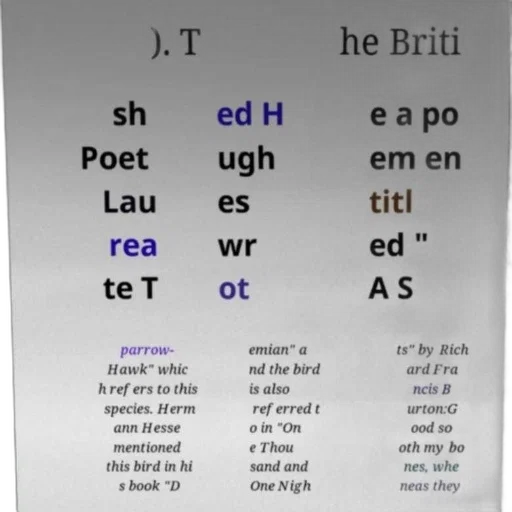 image, features, poem, titled transparent PNG cut-out