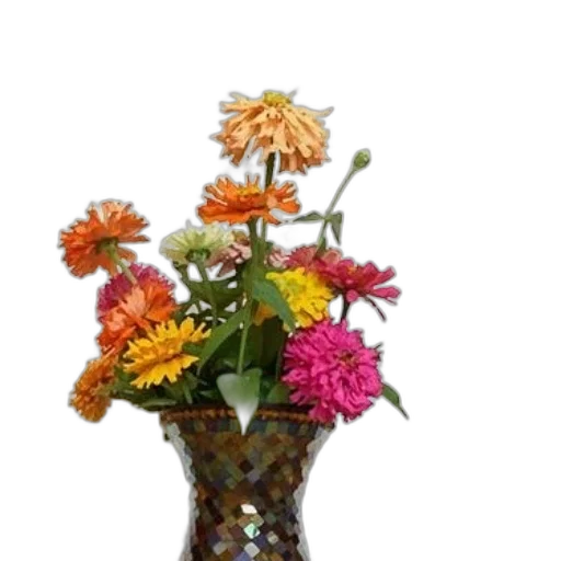 crown, flower, staff, jewelry transparent PNG cut-out
