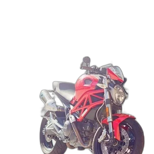 weapon, jacket, dragon, animal transparent PNG cut-out