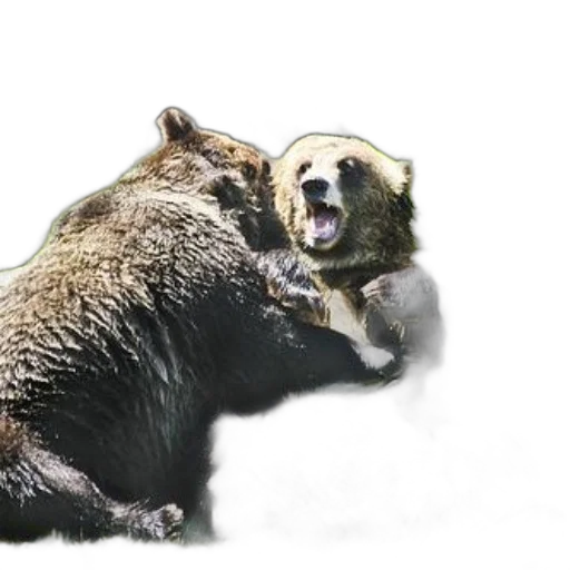 animal, creature, photorealistic, concept art transparent PNG cut-out