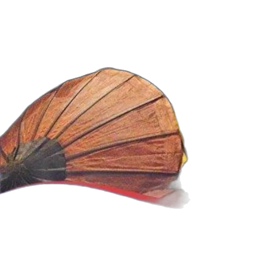 umbrella, hat, shoes, crown transparent PNG cut-out