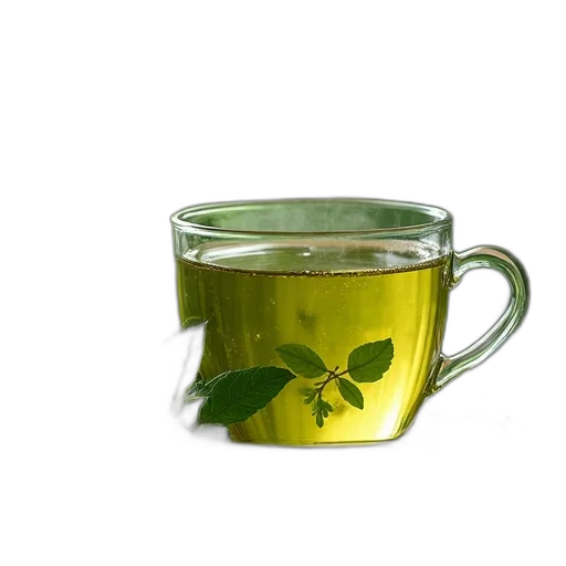 food, photorealistic, 3d render, green transparent PNG cut-out