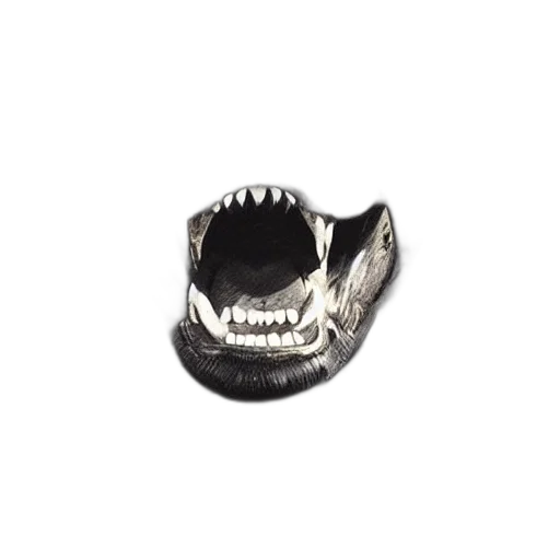 mask, jewelry, creature, dragon transparent PNG cut-out