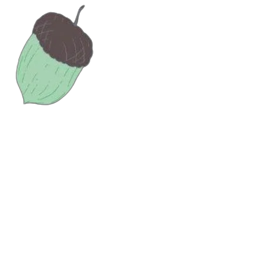 food, hat, hair, flower transparent PNG cut-out