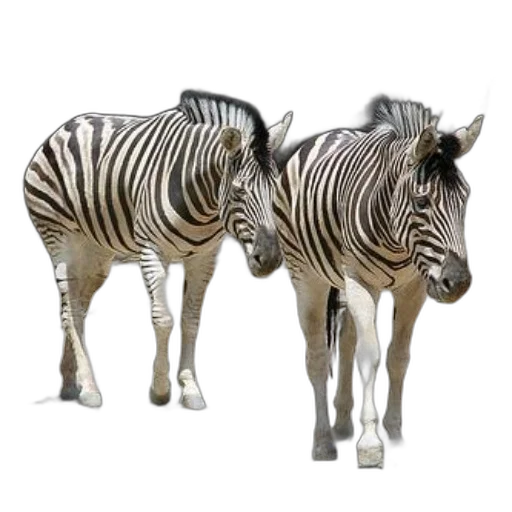 animal, furniture, 3d render, photorealistic transparent PNG cut-out
