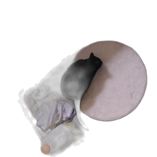 hat, mask, food, face transparent PNG cut-out