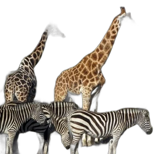 animal, 3d render, concept art, photorealistic transparent PNG cut-out