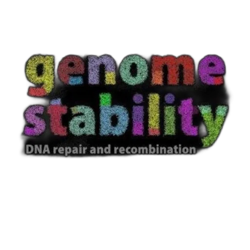 image, features, text, genome transparent PNG cut-out