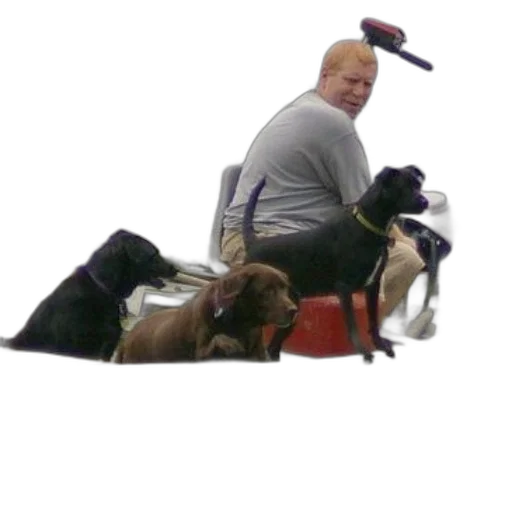 animal, creature, staff, weapon transparent PNG cut-out