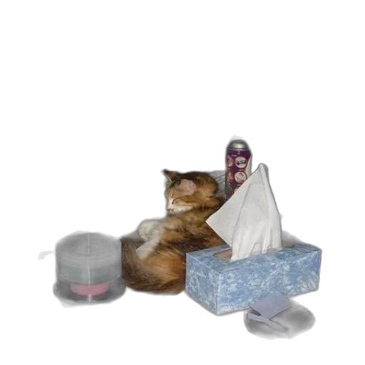 bottle, furniture, creature, animal transparent PNG cut-out