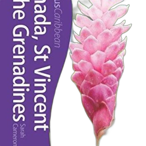 jewelry, flower, cover, book transparent PNG cut-out