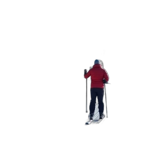 staff, robot, jacket, animal transparent PNG cut-out