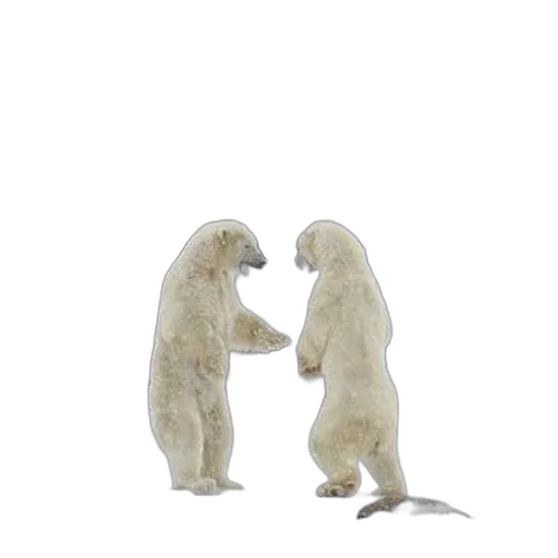 animal, creature, 3d render, concept art transparent PNG cut-out