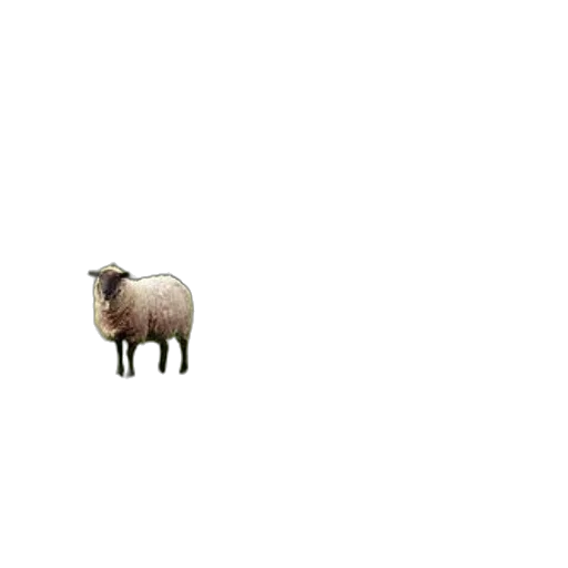 animal, creature, food, furniture transparent PNG cut-out