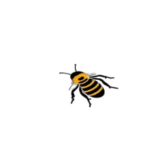 animal, creature, staff, furniture transparent PNG cut-out