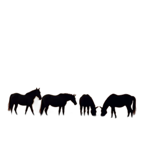 animal, jewelry, crown, furniture transparent PNG cut-out