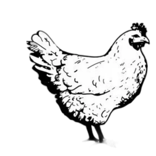 animal, food, dress, jewelry transparent PNG cut-out