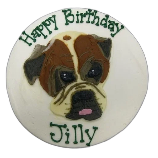 birthday, cake, dog, face transparent PNG cut-out