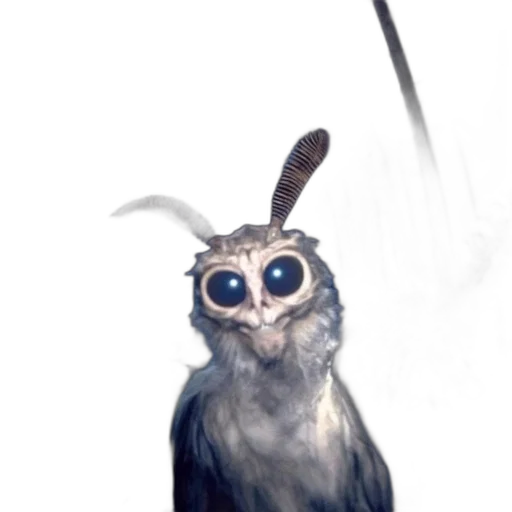staff, creature, animal, mask transparent PNG cut-out