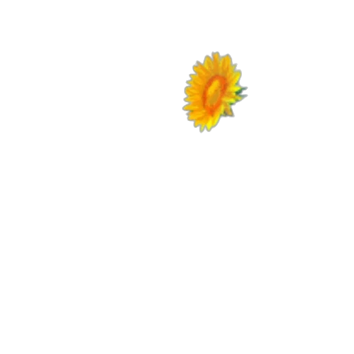 flower, crown, hair, staff transparent PNG cut-out