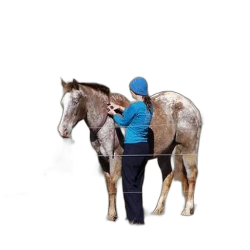 jacket, staff, animal, hat transparent PNG cut-out