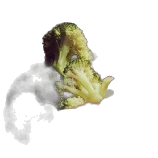 dragon, creature, food, hair transparent PNG cut-out