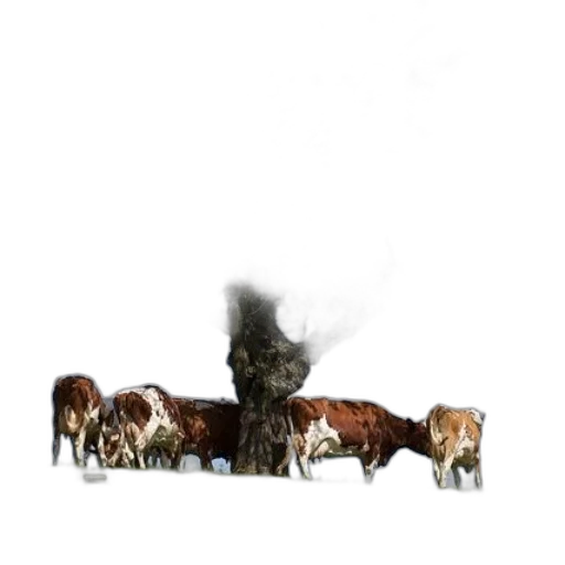 animal, furniture, crown, creature transparent PNG cut-out