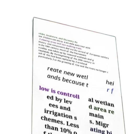 robot, vaporwave, poster, text transparent PNG cut-out