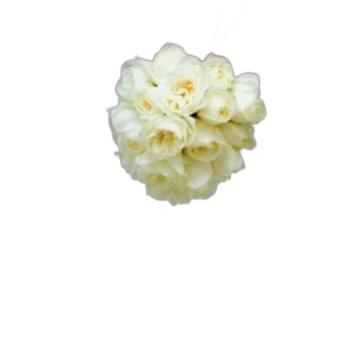 flower, crown, jewelry, staff transparent PNG cut-out