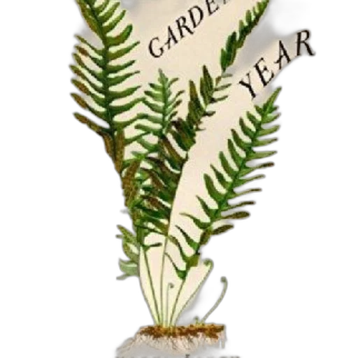 crown, staff, book, cover transparent PNG cut-out