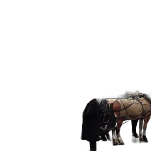 animal, weapon, robot, furniture transparent PNG cut-out