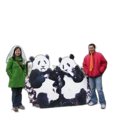 jacket, animal, furniture, 3d render transparent PNG cut-out