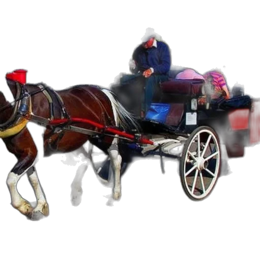 car, animal, staff, furniture transparent PNG cut-out