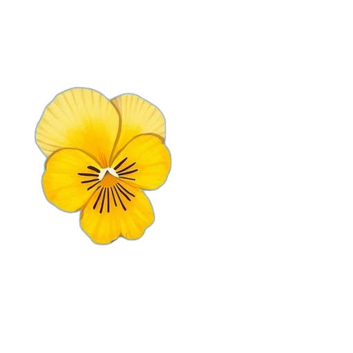 flower, crown, jewelry, hair transparent PNG cut-out