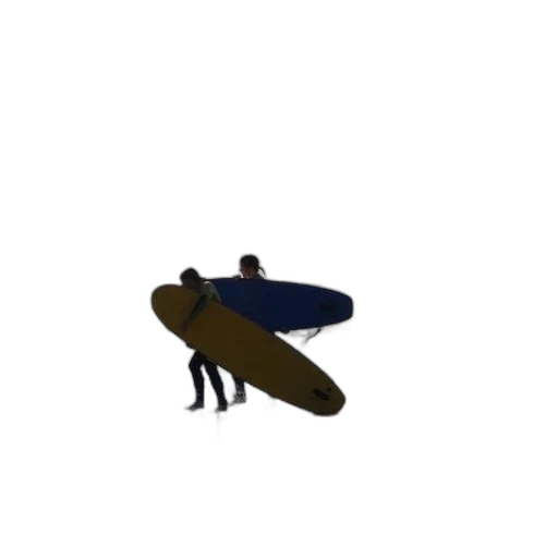 animal, creature, hat, shoes transparent PNG cut-out