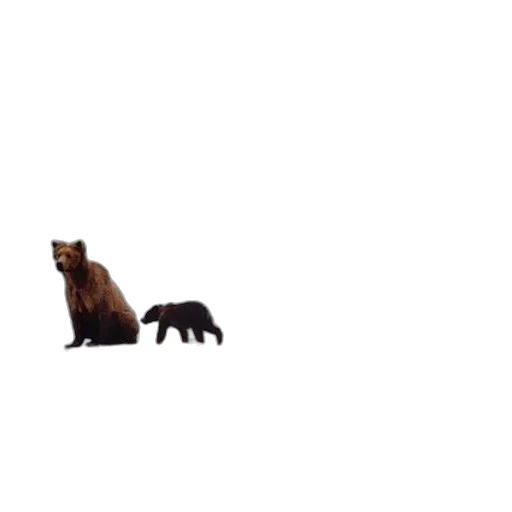animal, creature, furniture, staff transparent PNG cut-out