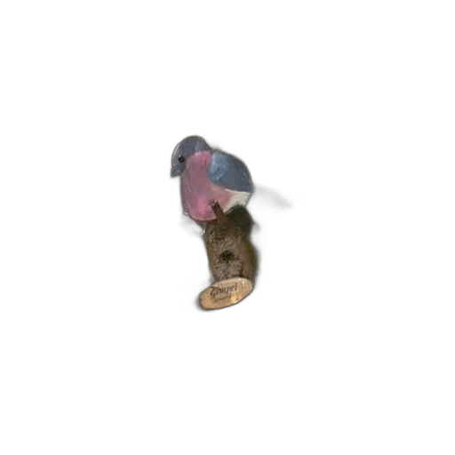 shoes, hat, animal, creature transparent PNG cut-out